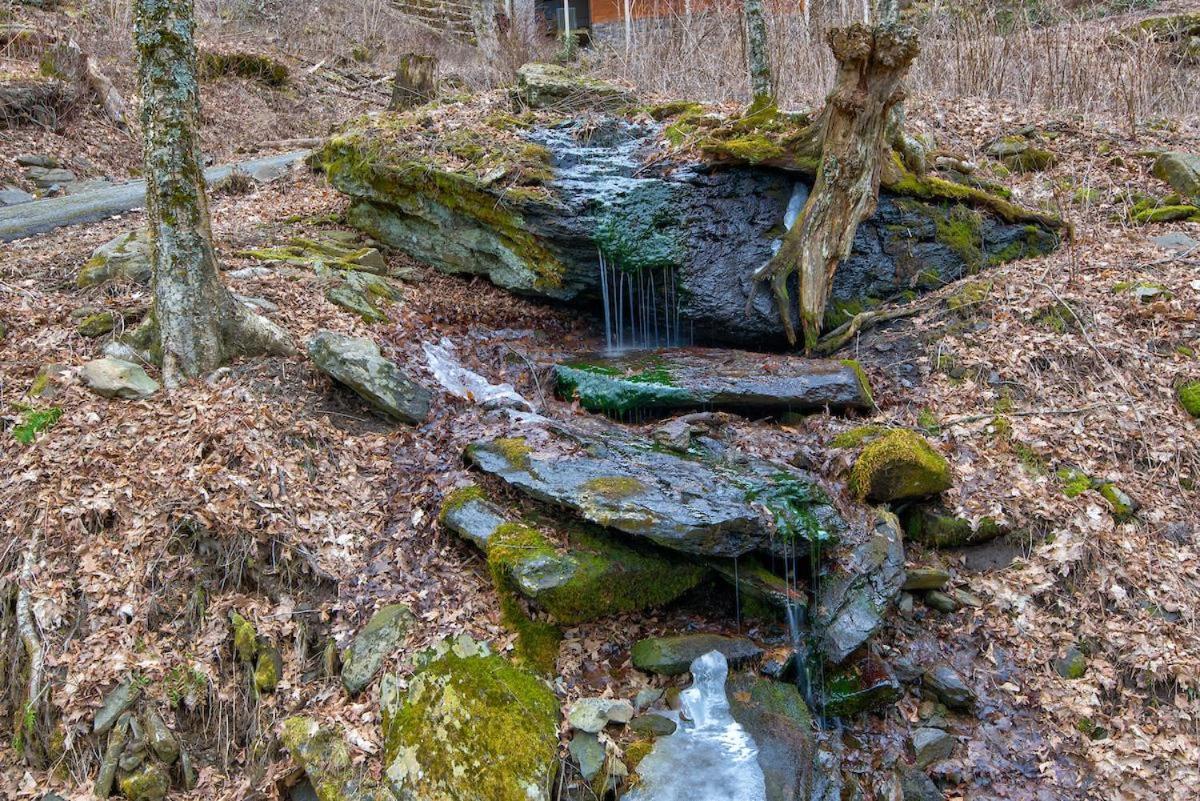 Rested Traveler Blowing Rock Dış mekan fotoğraf